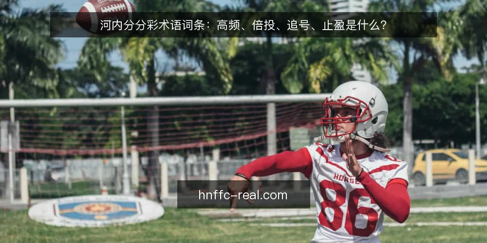 河内分分彩术语词条：高频、倍投、追号、止盈是什么？ — 河内分分彩术语词条：高频、倍投、追号、止盈分别是指什么？ 配图